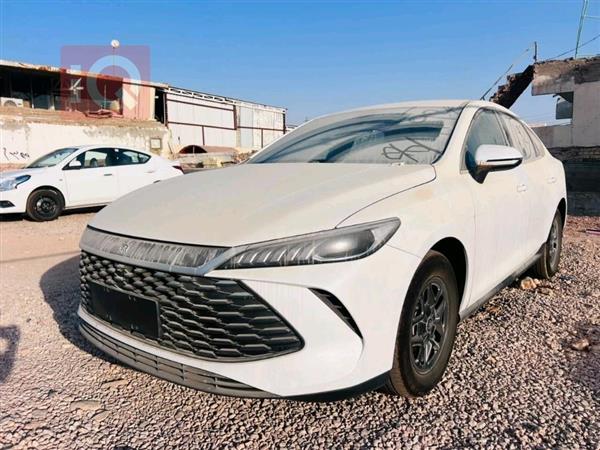بی وای دی Qin Plus 2025  بۆ فرۆشتن لە عێراق - نەجەف